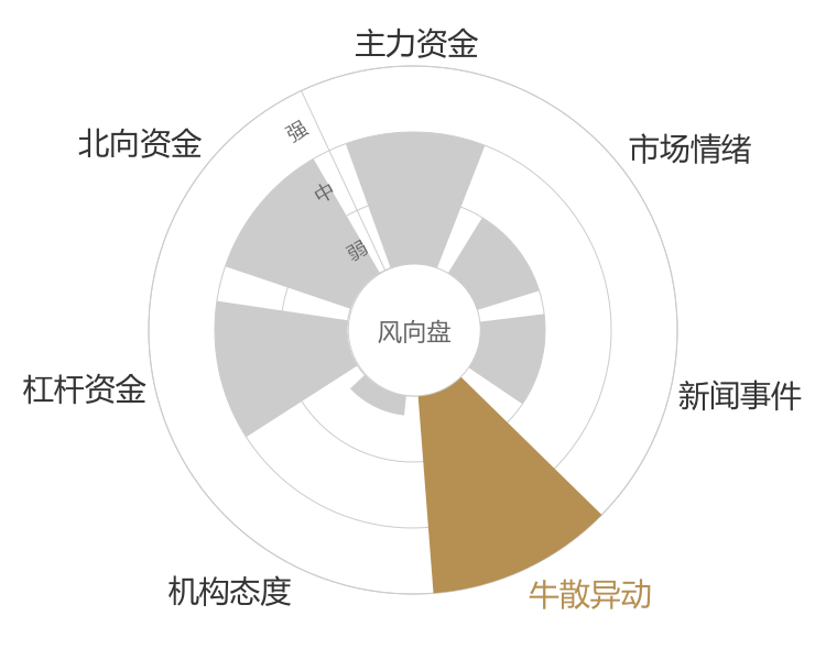 藏格矿业2024-01-15风向图