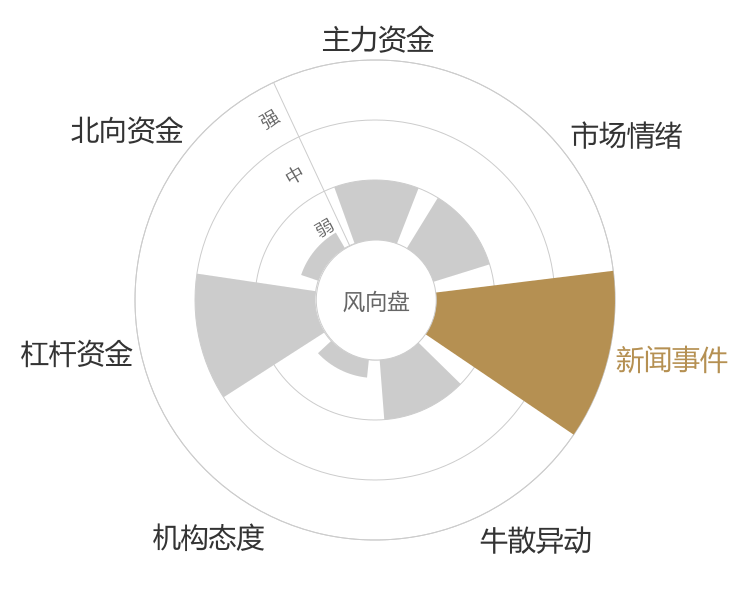 大叶股份2024-01-15风向图