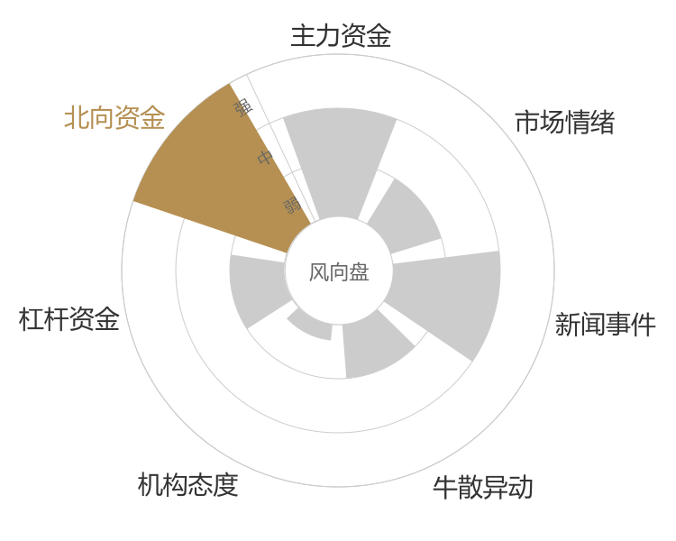 中核科技2024-03-19风向图